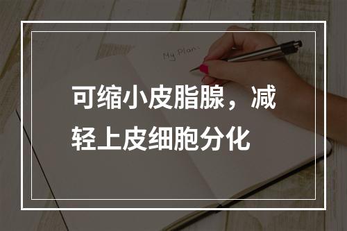 可缩小皮脂腺，减轻上皮细胞分化