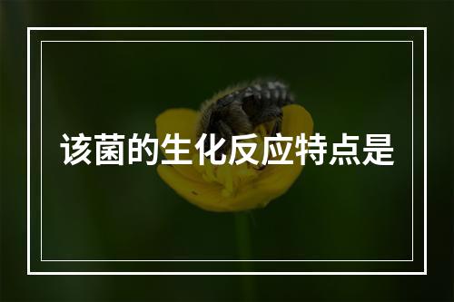 该菌的生化反应特点是