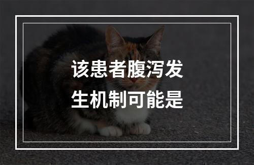 该患者腹泻发生机制可能是