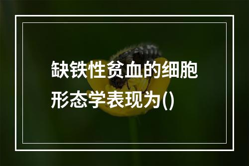 缺铁性贫血的细胞形态学表现为()