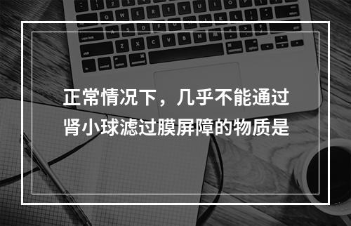 正常情况下，几乎不能通过肾小球滤过膜屏障的物质是