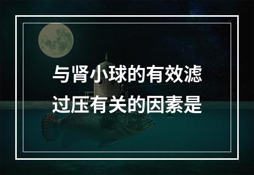 与肾小球的有效滤过压有关的因素是