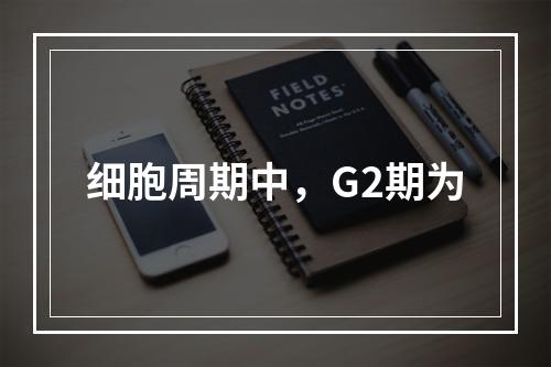 细胞周期中，G2期为