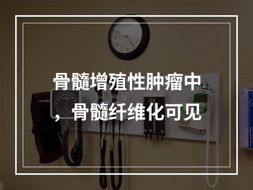 骨髓增殖性肿瘤中，骨髓纤维化可见