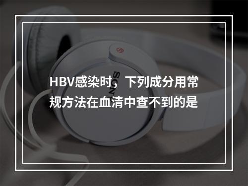 HBV感染时，下列成分用常规方法在血清中查不到的是