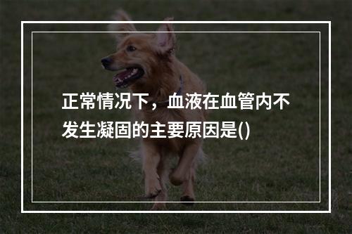 正常情况下，血液在血管内不发生凝固的主要原因是()