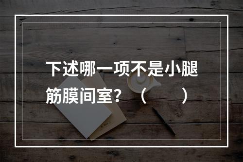 下述哪一项不是小腿筋膜间室？（　　）