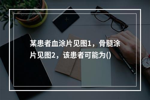 某患者血涂片见图1，骨髓涂片见图2，该患者可能为()