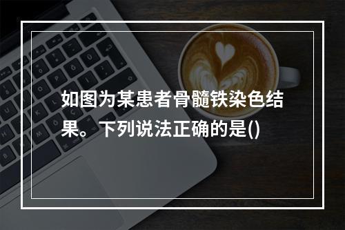 如图为某患者骨髓铁染色结果。下列说法正确的是()