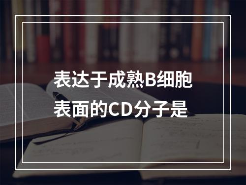 表达于成熟B细胞表面的CD分子是