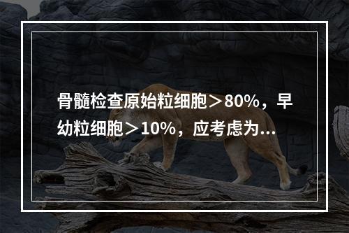 骨髓检查原始粒细胞＞80%，早幼粒细胞＞10%，应考虑为()