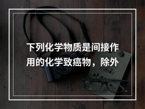 下列化学物质是间接作用的化学致癌物，除外