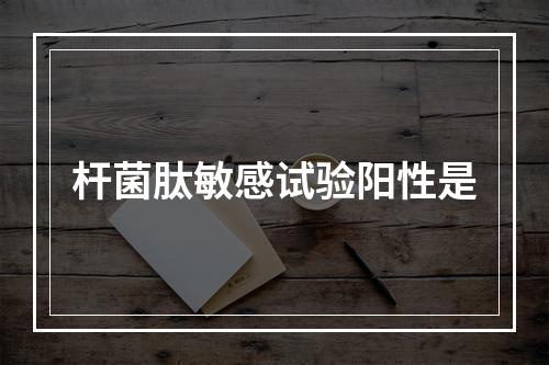 杆菌肽敏感试验阳性是