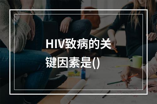 HIV致病的关键因素是()