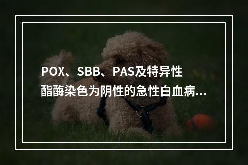 POX、SBB、PAS及特异性酯酶染色为阴性的急性白血病是(