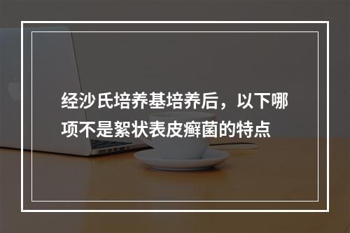 经沙氏培养基培养后，以下哪项不是絮状表皮癣菌的特点