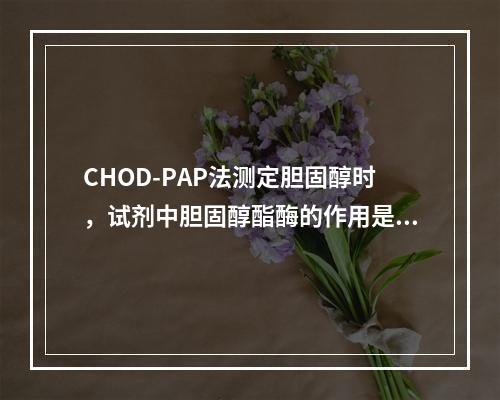 CHOD-PAP法测定胆固醇时，试剂中胆固醇酯酶的作用是()