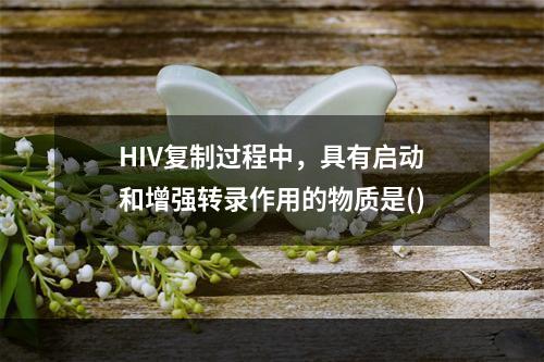 HIV复制过程中，具有启动和增强转录作用的物质是()