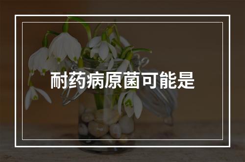 耐药病原菌可能是