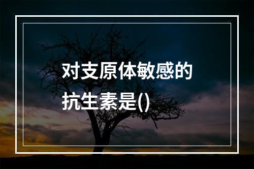 对支原体敏感的抗生素是()