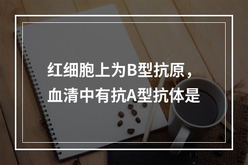 红细胞上为B型抗原，血清中有抗A型抗体是