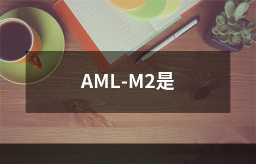 AML-M2是