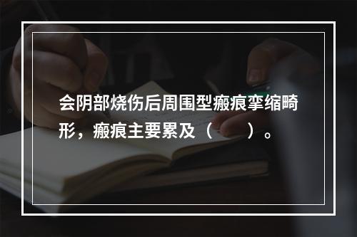 会阴部烧伤后周围型瘢痕挛缩畸形，瘢痕主要累及（　　）。