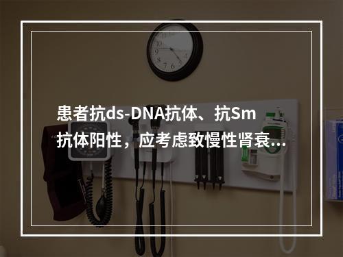 患者抗ds-DNA抗体、抗Sm抗体阳性，应考虑致慢性肾衰竭的