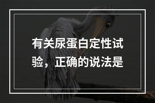 有关尿蛋白定性试验，正确的说法是