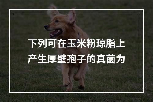 下列可在玉米粉琼脂上产生厚壁孢子的真菌为