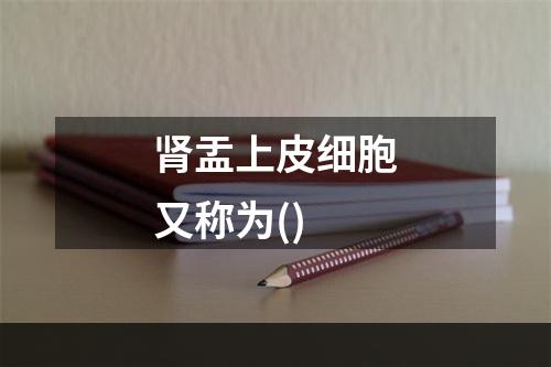 肾盂上皮细胞又称为()