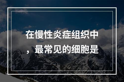 在慢性炎症组织中，最常见的细胞是