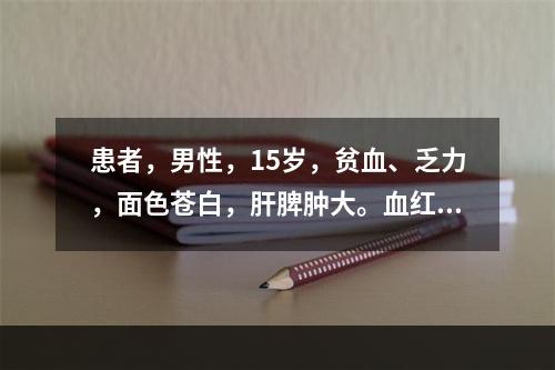 患者，男性，15岁，贫血、乏力，面色苍白，肝脾肿大。血红蛋白