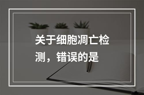 关于细胞凋亡检测，错误的是