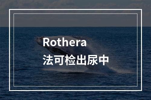 Rothera法可检出尿中