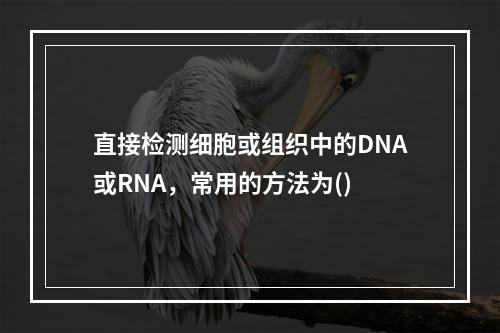 直接检测细胞或组织中的DNA或RNA，常用的方法为()