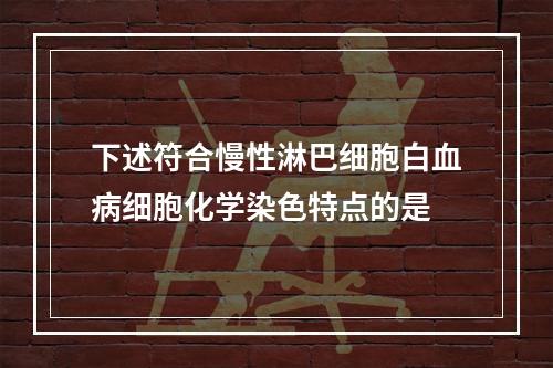 下述符合慢性淋巴细胞白血病细胞化学染色特点的是