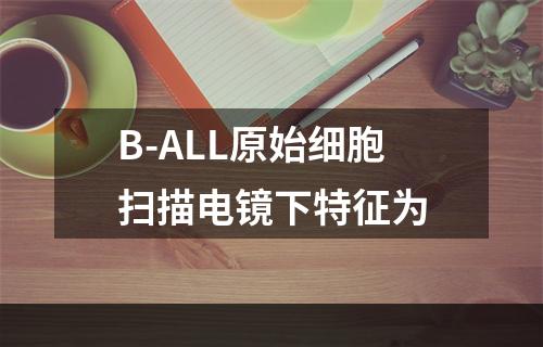 B-ALL原始细胞扫描电镜下特征为