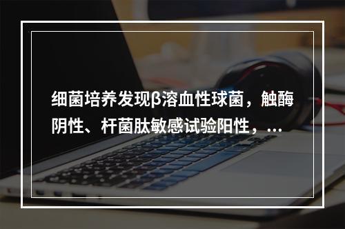 细菌培养发现β溶血性球菌，触酶阴性、杆菌肽敏感试验阳性，可能