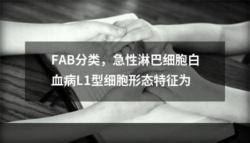 FAB分类，急性淋巴细胞白血病L1型细胞形态特征为