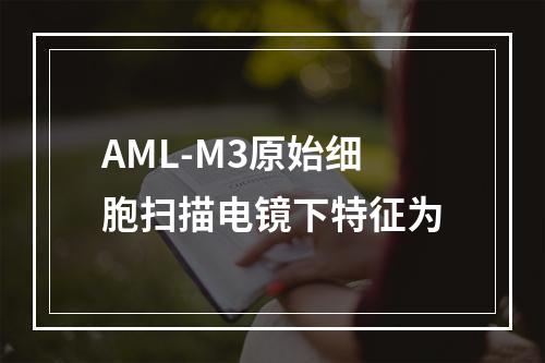 AML-M3原始细胞扫描电镜下特征为