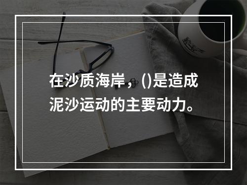 在沙质海岸，()是造成泥沙运动的主要动力。