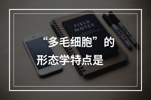 “多毛细胞”的形态学特点是