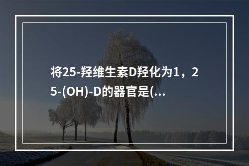 将25-羟维生素D羟化为1，25-(OH)-D的器官是()