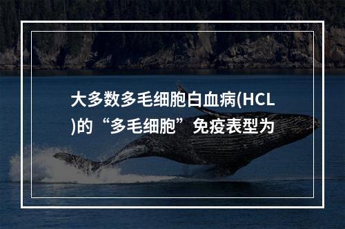 大多数多毛细胞白血病(HCL)的“多毛细胞”免疫表型为