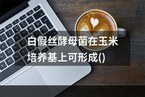 白假丝酵母菌在玉米培养基上可形成()