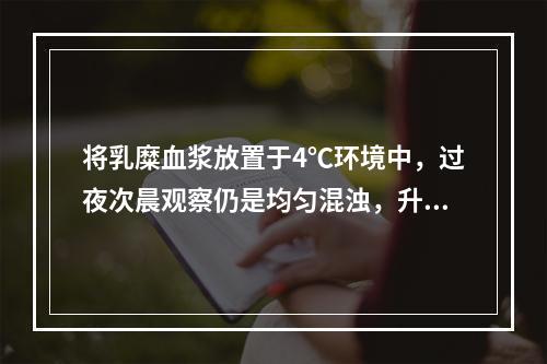 将乳糜血浆放置于4℃环境中，过夜次晨观察仍是均匀混浊，升高的