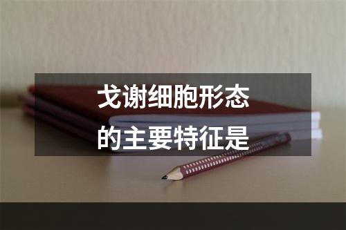 戈谢细胞形态的主要特征是