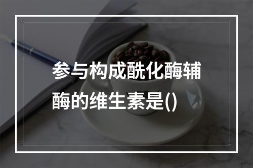 参与构成酰化酶辅酶的维生素是()