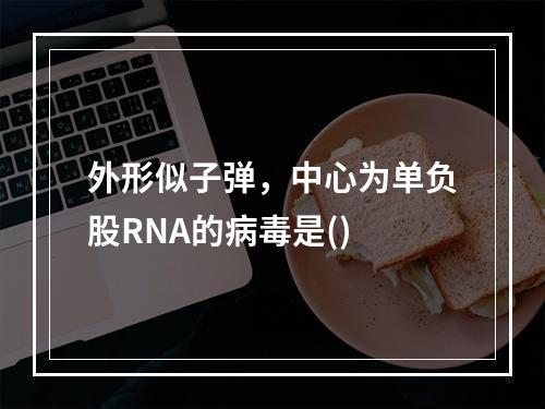 外形似子弹，中心为单负股RNA的病毒是()